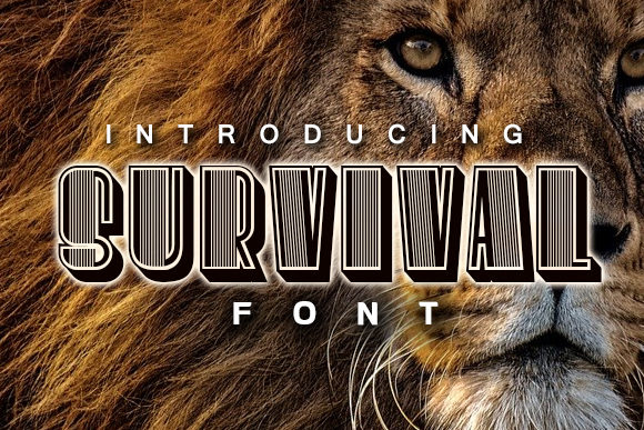 Survival: The Bold Display Font for Memorable Branding